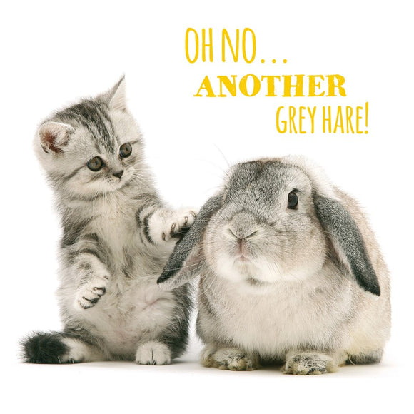 Pet Pawtrait Card - Grey Hares (Birthday Card) Sajaroo Gifts