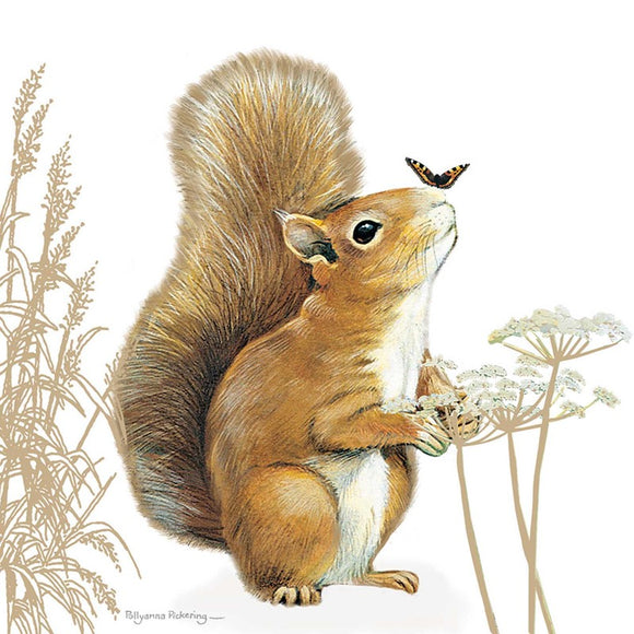 Pollyanna Pickering Countryside Collection Card - Squirrel Sajaroo Gifts