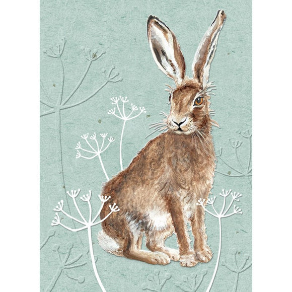 RSPB - In The Wild Card - Hare Sajaroo Gifts