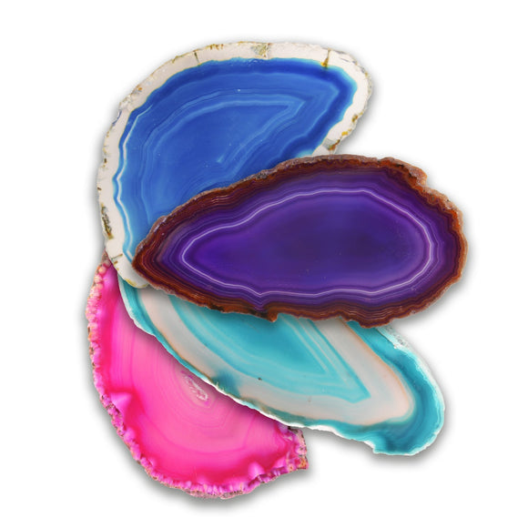 Agate Slices - British Fossils