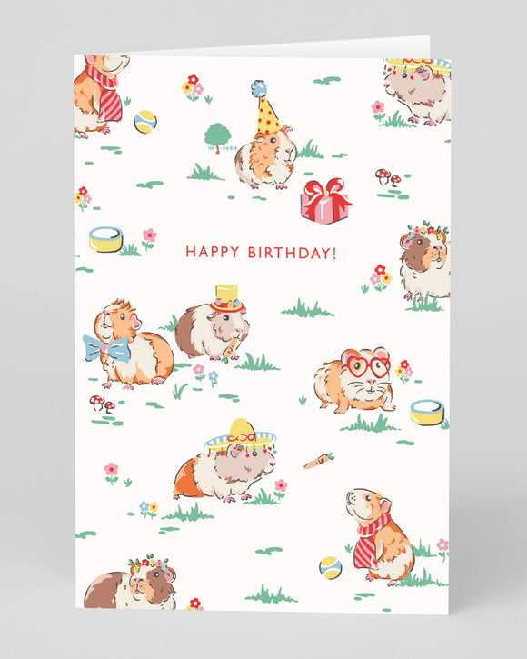 Guinea Pig Happy Birthday Greetings Card