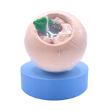 Happy Holly Day Whole Ball Fizzers Sajaroo Gifts