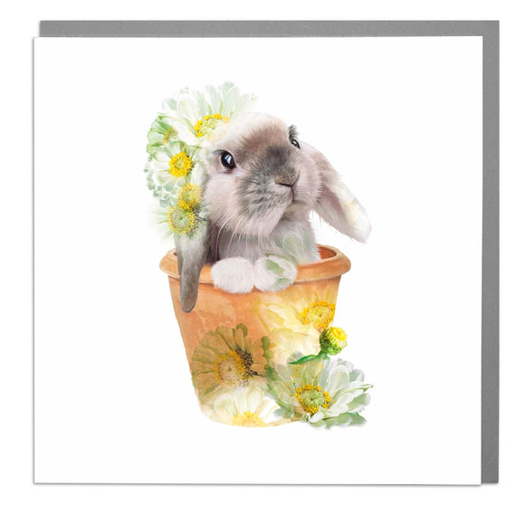 Lola Design - Bunny Plant Pot Greeting Card