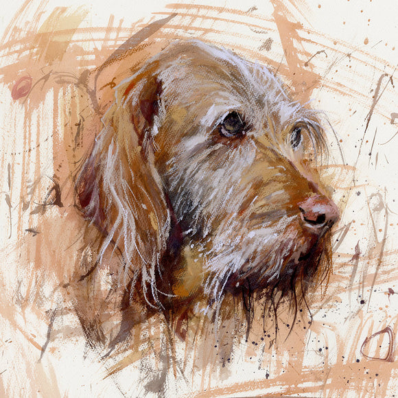 Wirehaired Vizsla Art Greetings Card