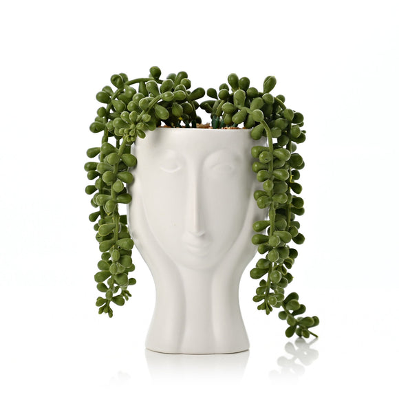 FACE PLANTERS WITH FAUX PLANT 16CM Sajaroo Gifts
