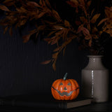 TREASURED TRINKETS - PUMPKIN Sajaroo Gifts