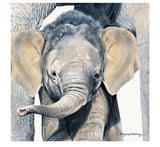 Pollyanna Pickering Card Collection - Elephant Sajaroo Gifts