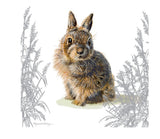 Pollyanna Pickering Countryside Collection Card - Baby Wild Rabbit Sajaroo Gifts